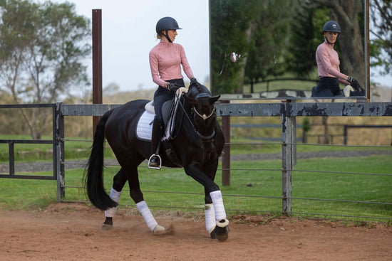 Riding Leggings