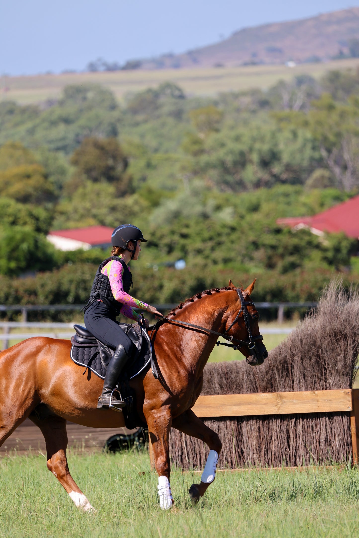 Cheval Liberté Original Leggings